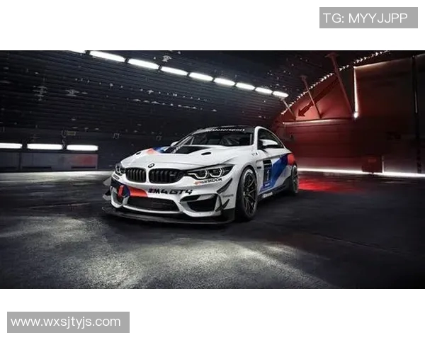 优质球员头像汇聚足球明星魅力展现足坛风采与个性魅力